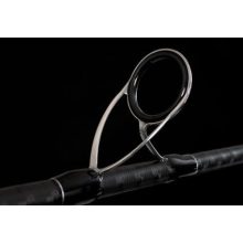 Fishus SW2