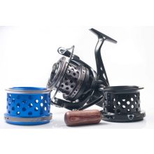 YUKI AMG CARP